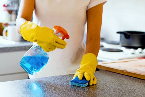 Stain removal process by a carpets cleaner in Bermondsey