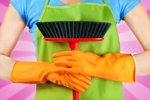 Professional cleaning company working in a Bermondsey home
