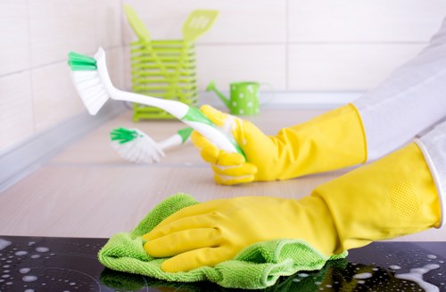 One off cleaning for a Bermondsey apartment living area