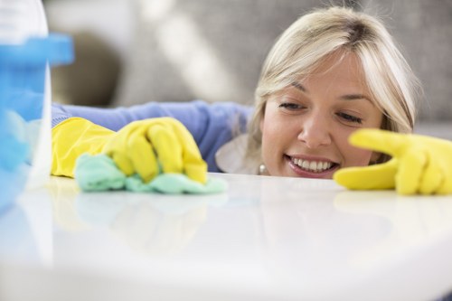Professional oven cleaning tools and supplies arranged for a Bermondsey service