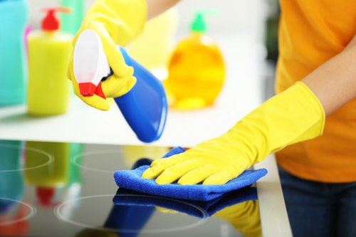 Professional deep cleaning of kitchen surfaces in Bermondsey