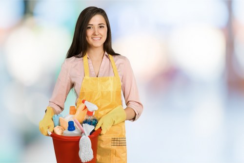 Professional cleaning supplies used for Bermondsey move-out cleaning