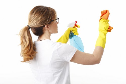 Detailed bathroom cleaning during a one off clean in Bermondsey
