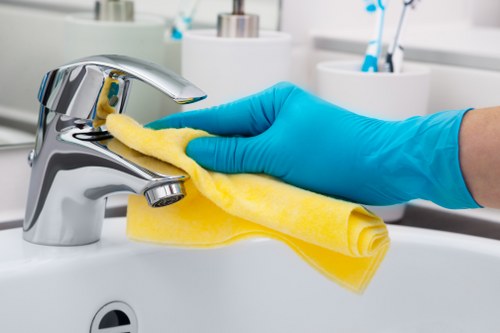 Professional carpet cleaning process for a Bermondsey home
